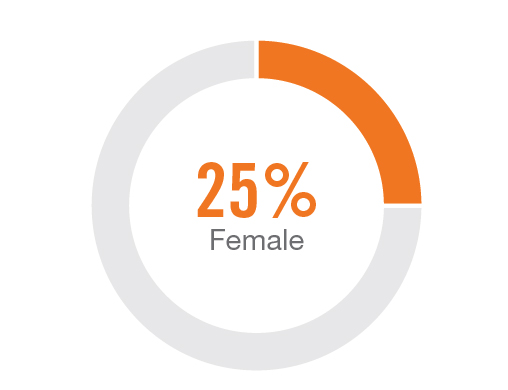 pie_genderdiversity.jpg