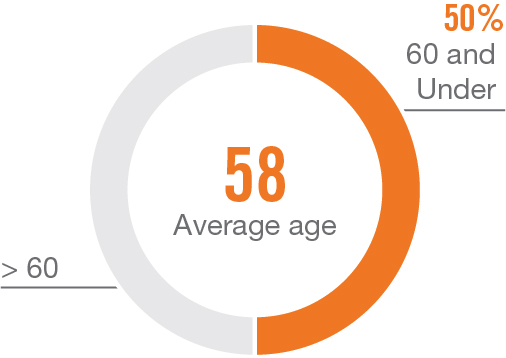 piechart_age.jpg