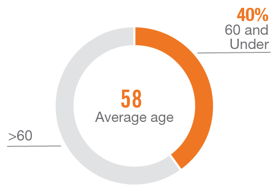 piechart_age.jpg
