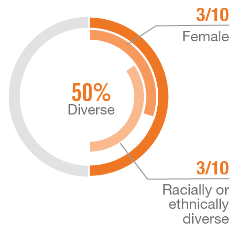 piechart_diversity.jpg